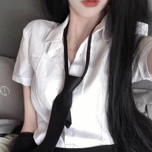 双食记 海报